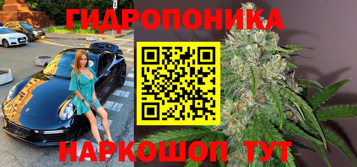 Марихуана планчик  Бошки Шишки марихуана  Волжский  Конопля гибрид  Вход с VPN 